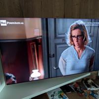 TV Samsung QLED 8K 65 pollici  QN900A