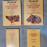 Pernkopf - Atlas d'Anatomie Humaine 2eme edition