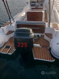 Motore mercury 225 4 tempi