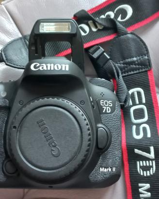 Canon EOS 7D Mark II  circa 20'000 scatti