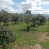 Terreno agricolo Località Is Concias