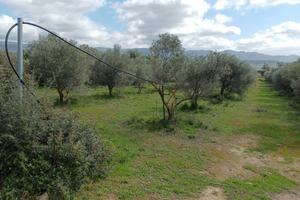 Terreno agricolo Località Is Concias
