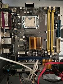 Scheda madre ASUS P5