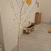Albero con illuminazione