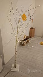 Albero con illuminazione