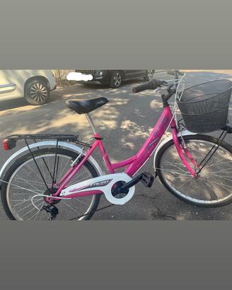 Bici frema stardust