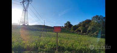 Terreno agricolo