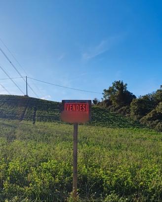 Terreno agricolo