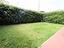 Immagine 15