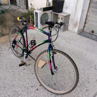 bicicletta Mountain bike 