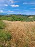 rif-215b-terreno-agricolo-a-moscufo