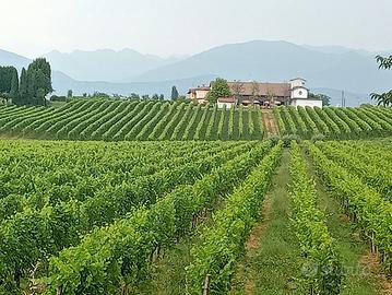 terreno agricolo a Capodrise 