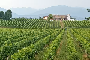 terreno agricolo a Capodrise 