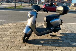 Altro Altro modello - 2022