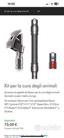 Kit pulizia animali Dyson