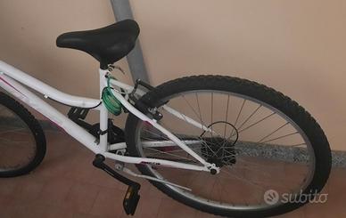 bicicletta