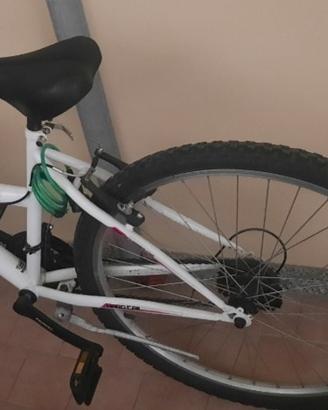 bicicletta