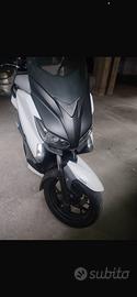 Xmax 250