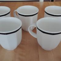 Tazze Villeroy & Boch + bricco