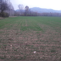 Vendita terreno agricolo