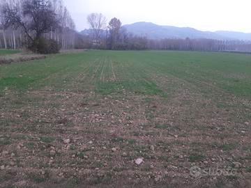 Vendita terreno agricolo