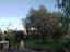 Immagine 5