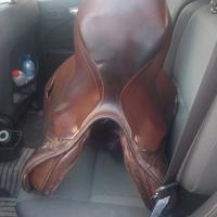 Sella Prestige Roma jump