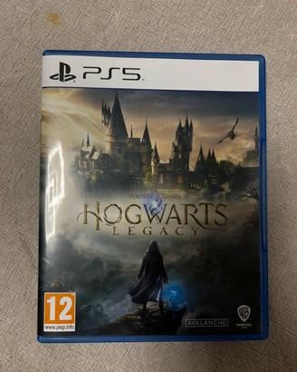 Hogwarts Legacy