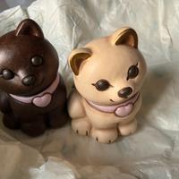 Gattini thun edizione limitata bauli 2026