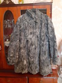 Pelliccia di breitschwanz