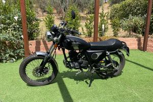 Mash Fifty 50 - 2020