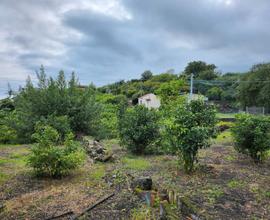 Casetta Con Terreno Pressi Villa Ingrid