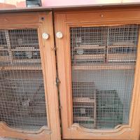 Mobiletto con gabbie