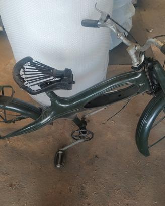 motom 12 D