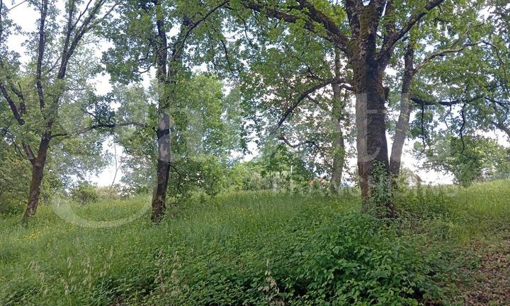 Terreno Residenziale Fara in Sabina