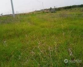 Terreno agricolo pianeggiante località campolongo