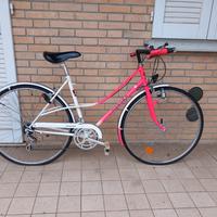 Bicicletta granturismo 
