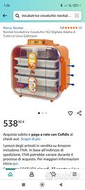galline