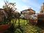 Immagine 10
