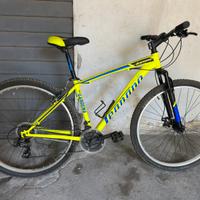 Mountain bike Legnano 29