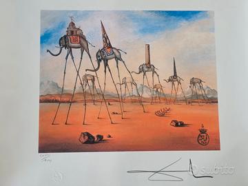 Salvador Dalì seligrafia firma a matita  originale