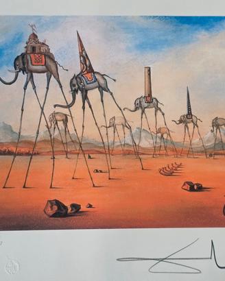 Salvador Dalì seligrafia firma a matita  originale