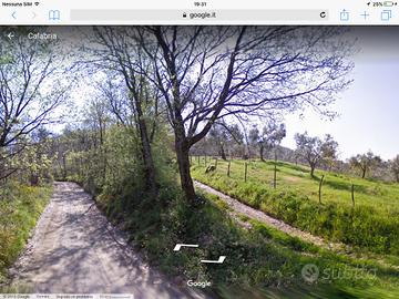 Terreno con bosco in Via Fiano