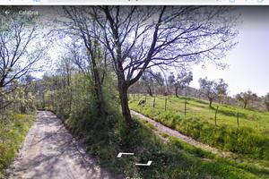 Terreno con bosco in Via Fiano