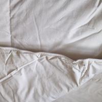 Piumino sottile singolo (vero piumino)