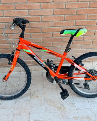 Bici da bambino 20”