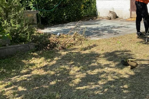 Lotto 1000 Mq edificabili