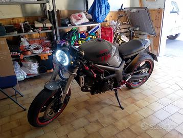 Suzuki SV 650 - 2000