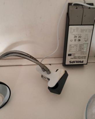 Accenditore  hid +lampada repton per tartarughe