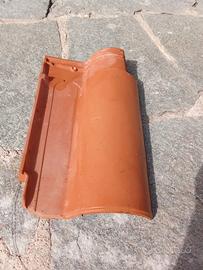 Coppi portoghesi FBM